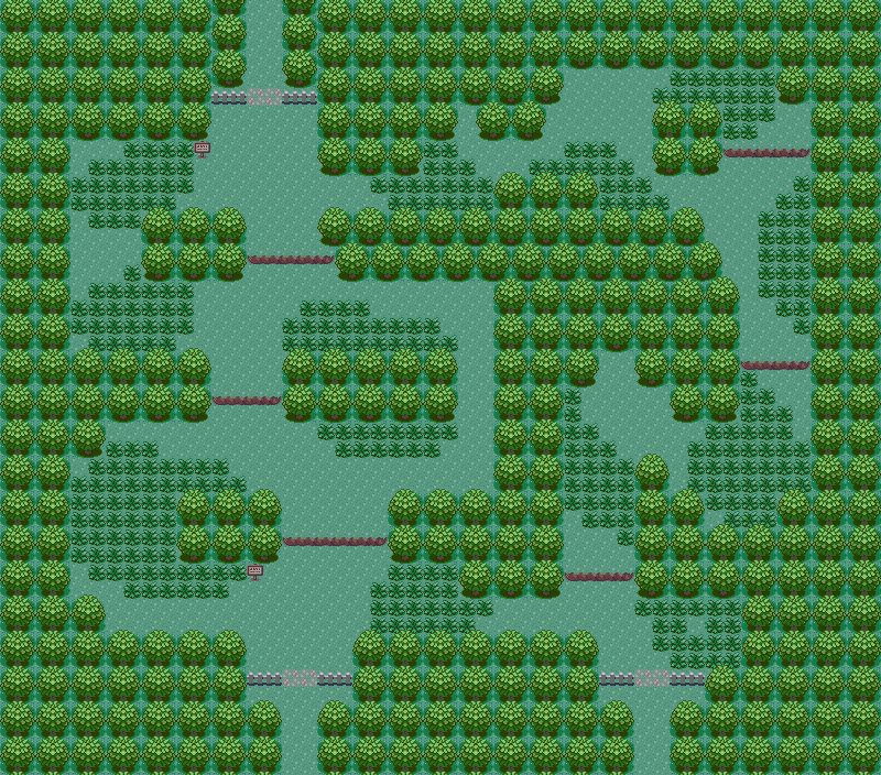 Petalburg Woods map | Pokémon Hoenn