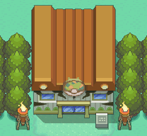 Safari Zone map | Pokémon Johto