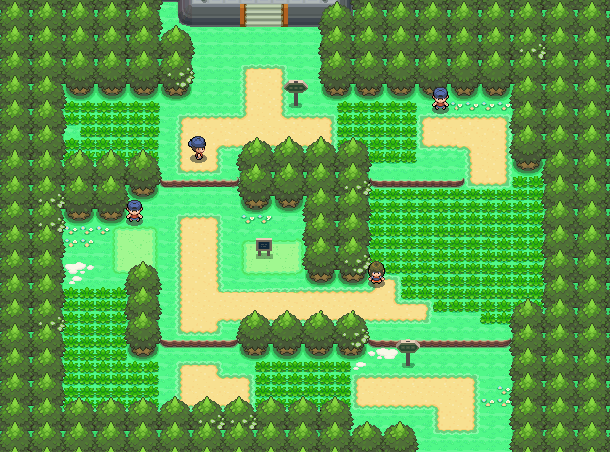 Route 202 map | Pokémon Sinnoh