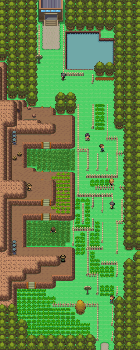 Route 214 map | Pokémon Sinnoh