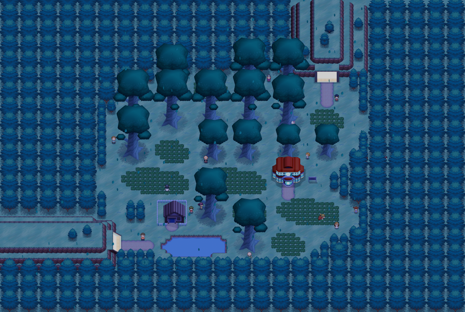 White Forest map | Pokémon Unova