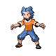 Brawly | Pokémon character