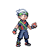 Brendan | Pokémon character