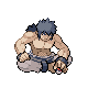 Bruno | Pokémon character