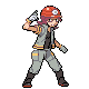 Roark | Pokémon character