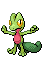 Treecko | Pokémon Hoenn Pokémon