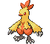 Combusken | Pokémon Hoenn Pokémon