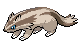 Linoone | Pokémon Hoenn Pokémon