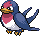 Taillow | Pokémon Hoenn Pokémon