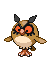 Hoothoot | Pokémon Johto Pokémon
