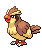 Pidgey | Pokémon Kanto Pokémon