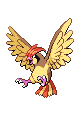 Pidgeotto | Pokémon Kanto Pokémon