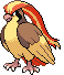Pidgeot | Pokémon Kanto Pokémon