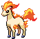 Ponyta | Pokémon Kanto Pokémon