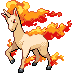 Rapidash | Pokémon Kanto Pokémon