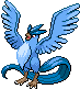Articuno | Pokémon Kanto Pokémon