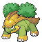 Grotle | Pokémon Sinnoh Pokémon