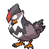 Staraptor | Pokémon Sinnoh Pokémon